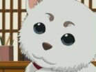الصورة انمي Zipang الحلقة 9 مترجمة اونلاين تحميل مباشر