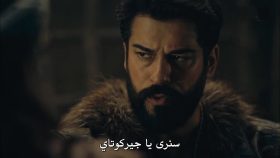 الصورة 