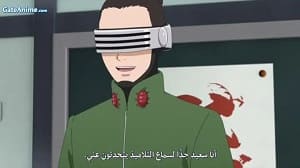 الصورة 