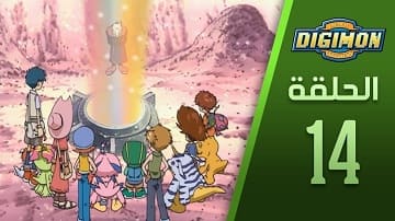 الصورة